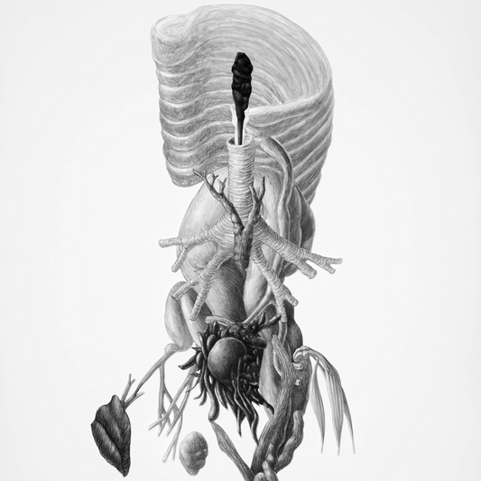 De las formas sensibles I