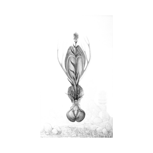 De las formas sensibles IV