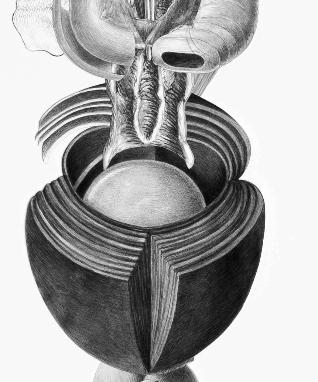 De las formas sensibles II