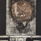 Mutación del sol oscuro