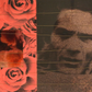 P.P. Pasolini