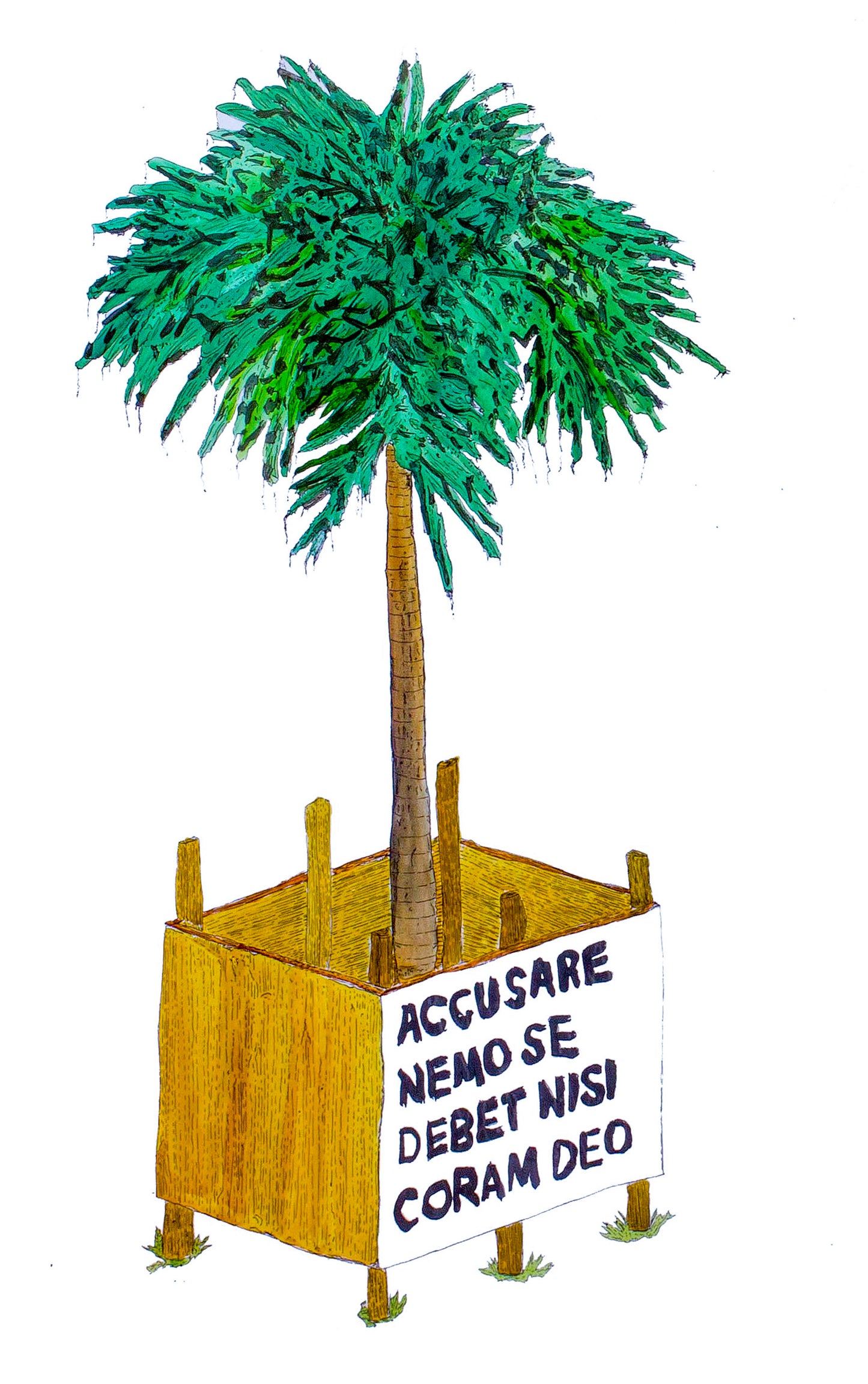 Coram Deo [palmera]