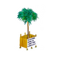 Coram Deo [palmera]