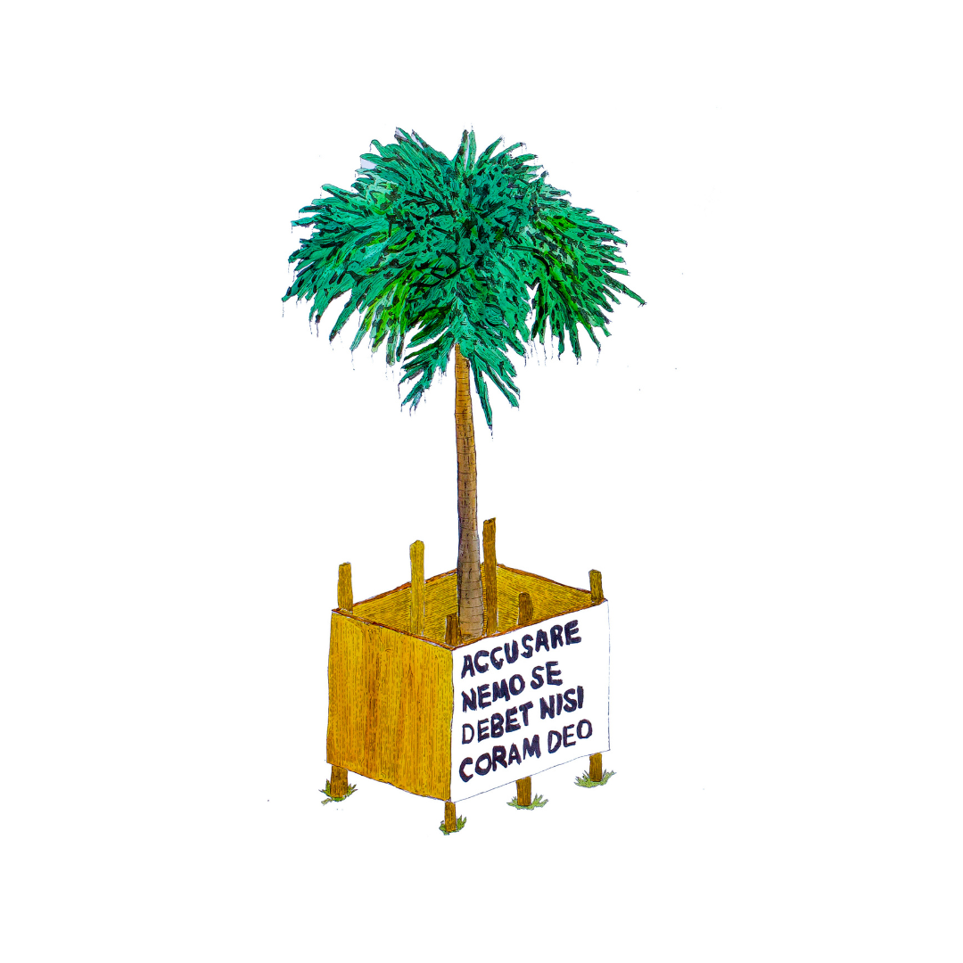 Coram Deo [palmera]